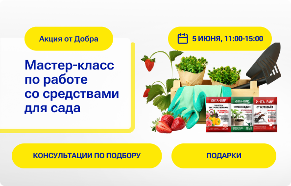 Мастер-класс