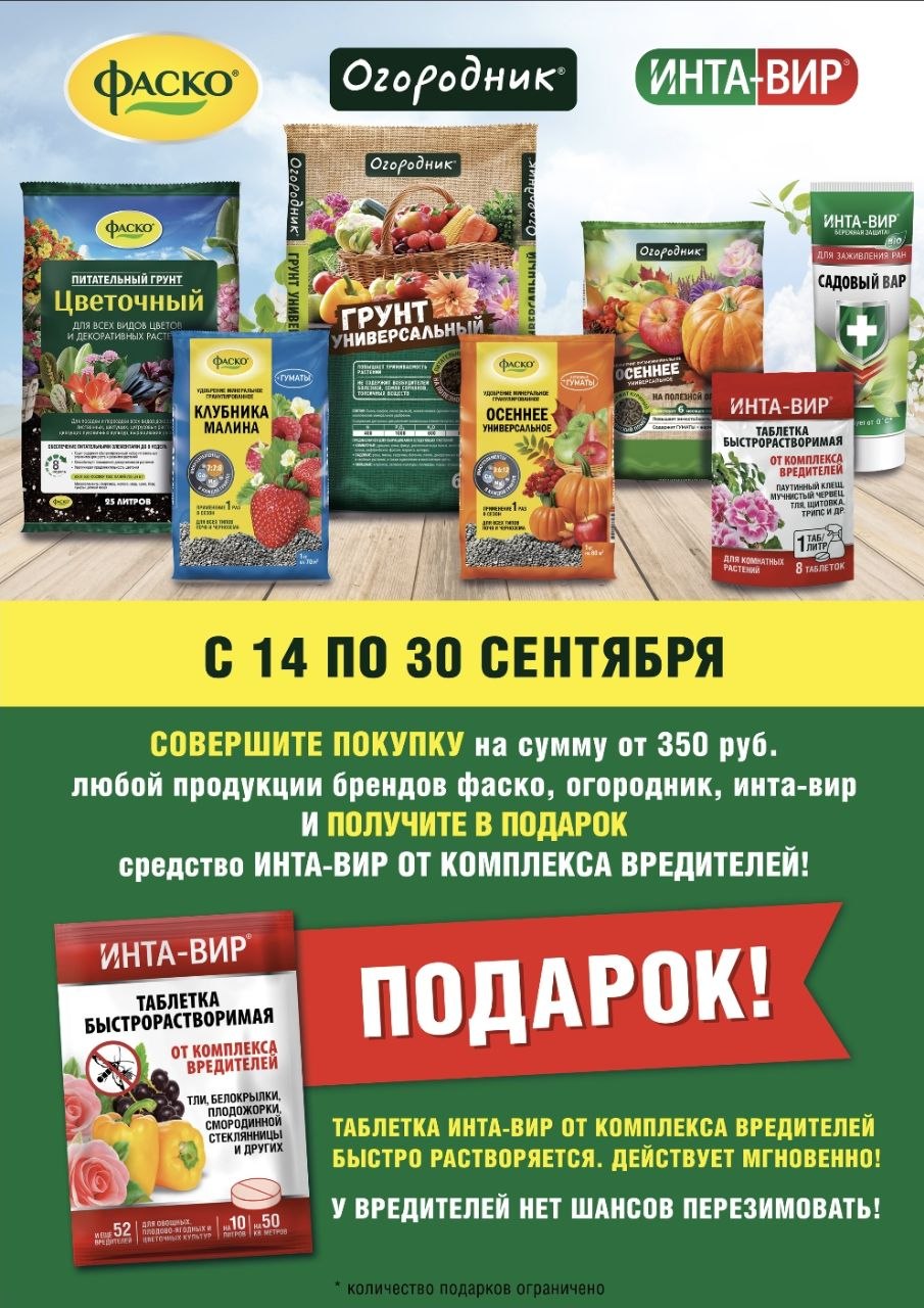 Акция в Садовом центре