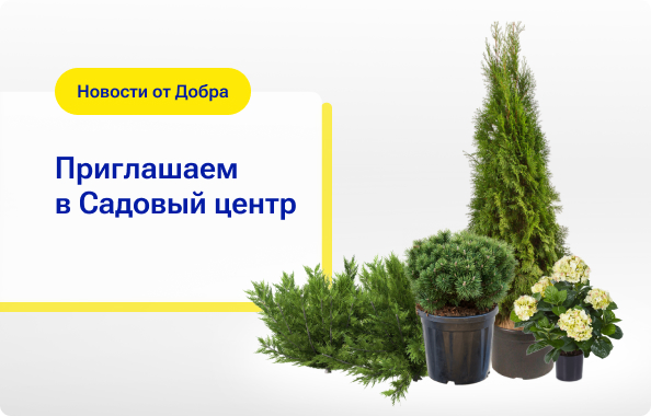 Садовый центр