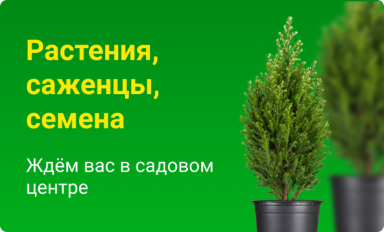 Растения в ТК Добро: семена, саженцы, рассада